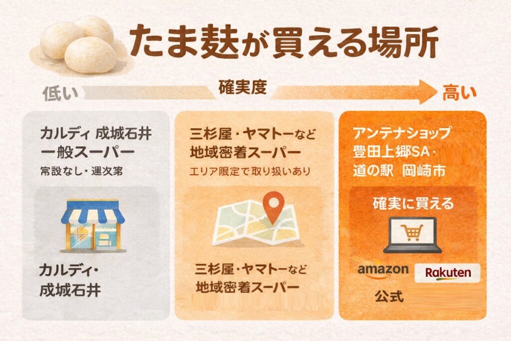 たま麩が買える場所